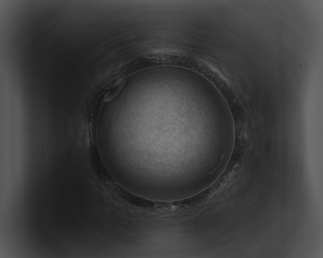 X0000100890965200806241228