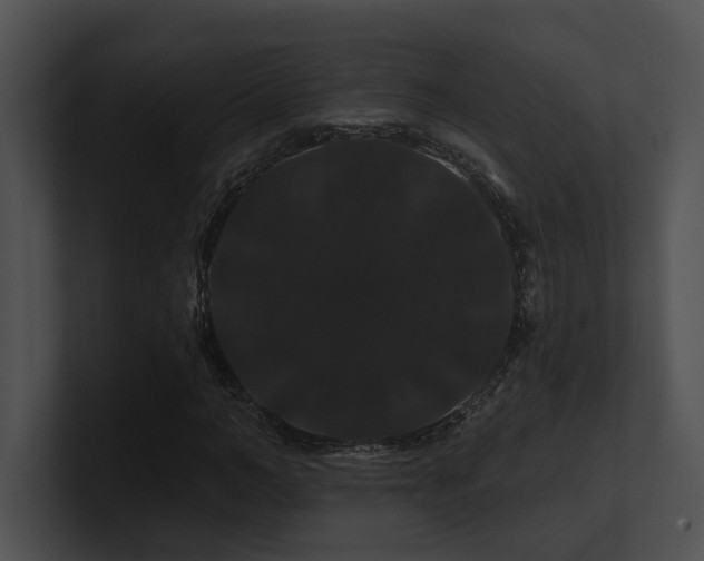 X0000100890966200806241228