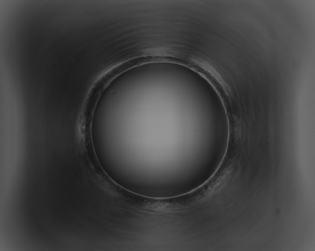 X0000100890971200806241228