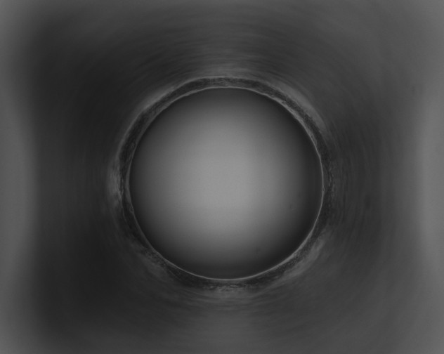 X0000100890974200806241228