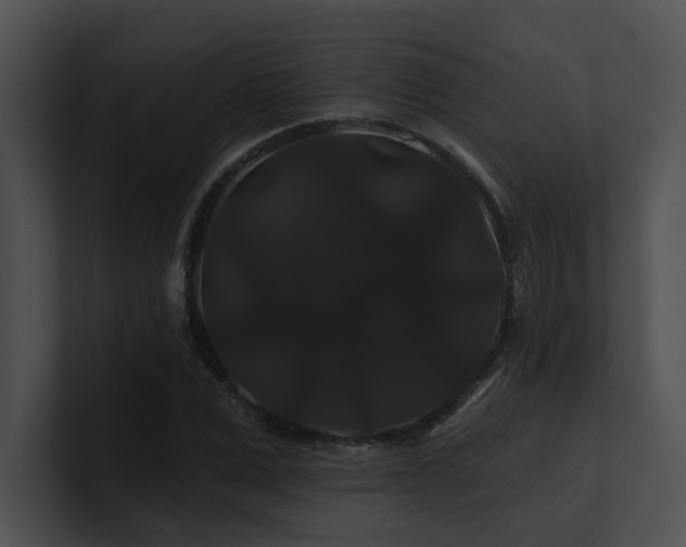 X0000100890975200806241228