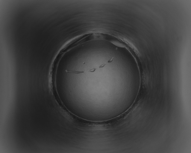X0000100890976200806241228