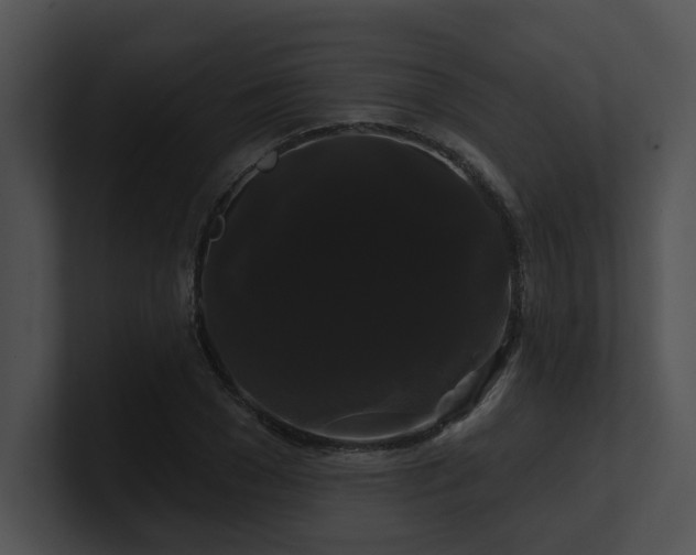 X0000100890977200806241228