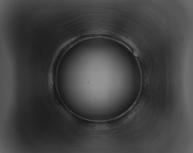 X0000100890979200806241228