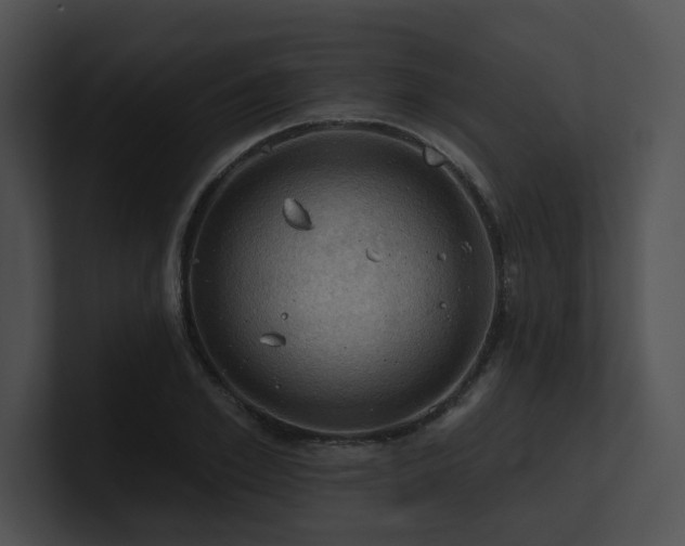 X0000100890981200806241228