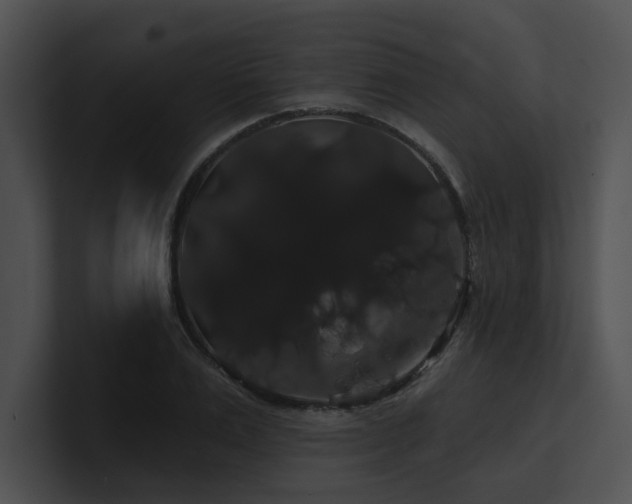 X0000100890983200806241228