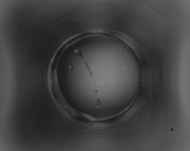X0000100890984200806241228