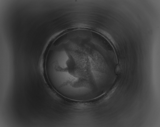 X0000100890987200806241228