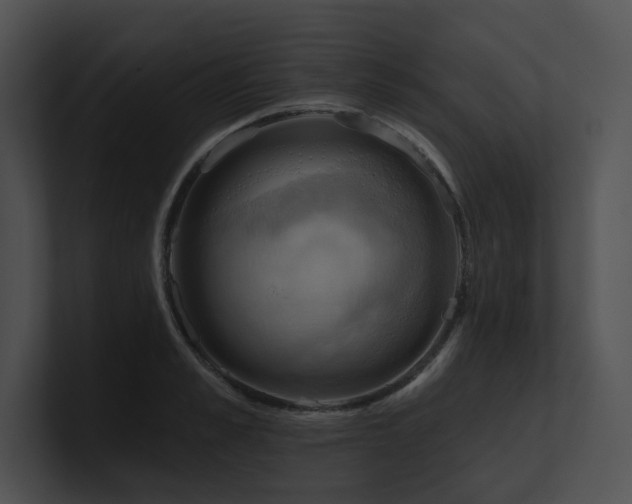 X0000100890989200806241228