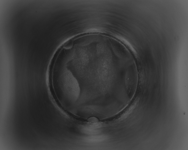 X0000100890991200806241228