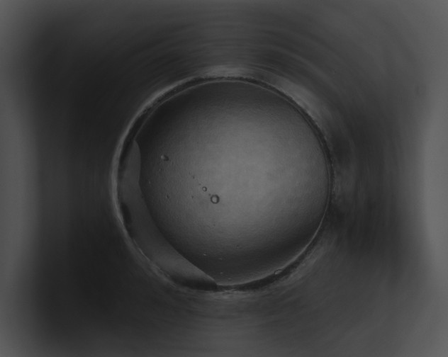 X0000100890992200806241228