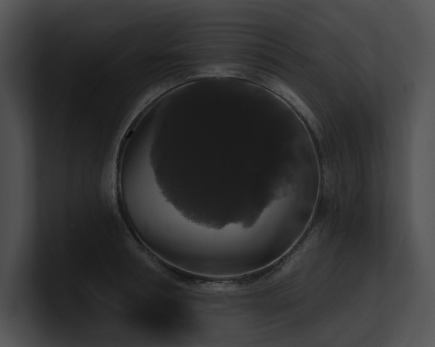 X0000100890994200806241228