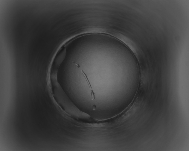 X0000100890996200806241228