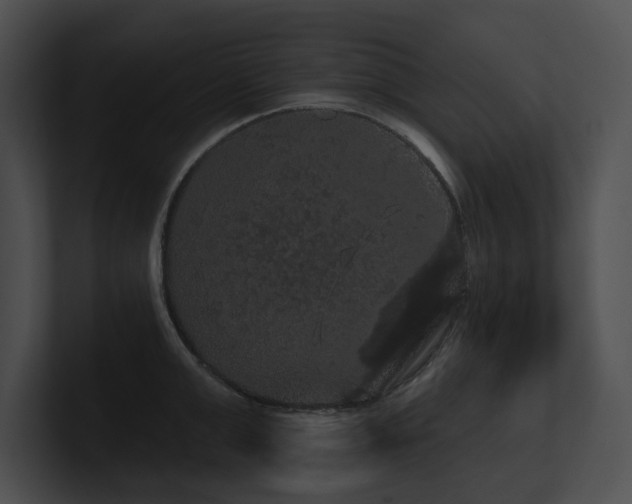 X0000100890999200806241227