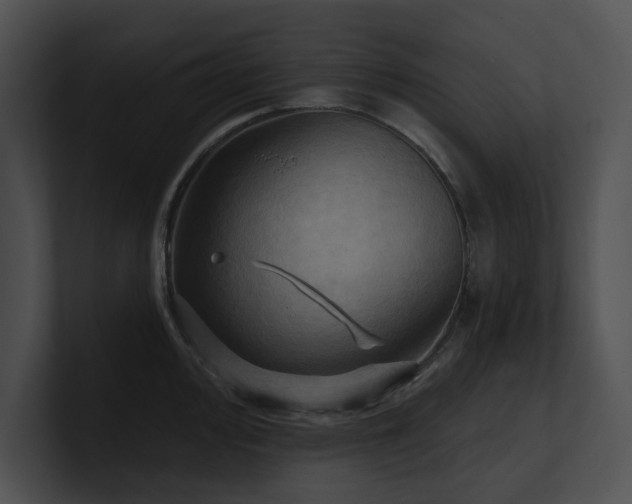 X0000100891000200806241227