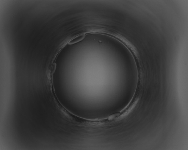 X0000100891001200806241227