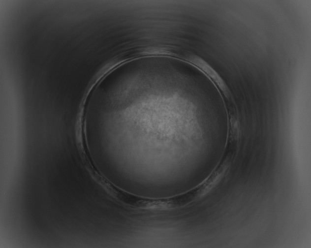 X0000100891002200806241227