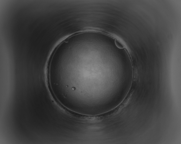 X0000100891003200806241227