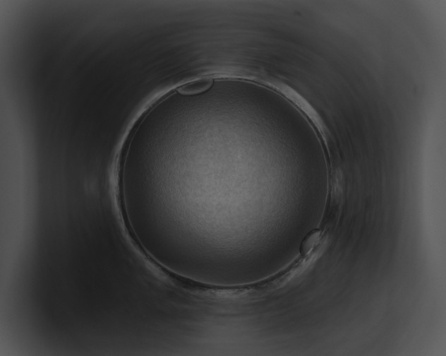 X0000100891005200806241227