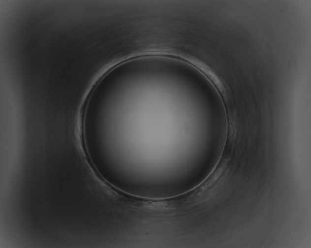 X0000100891006200806241227