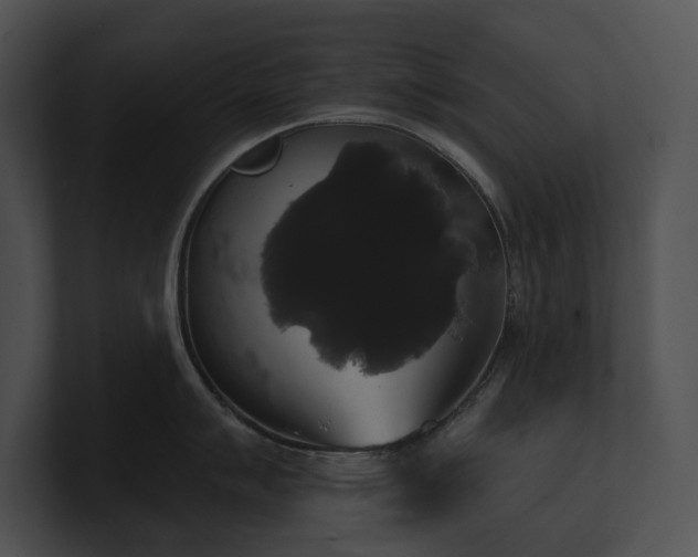 X0000100891007200806241227