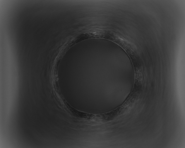 X0000100891009200806241227