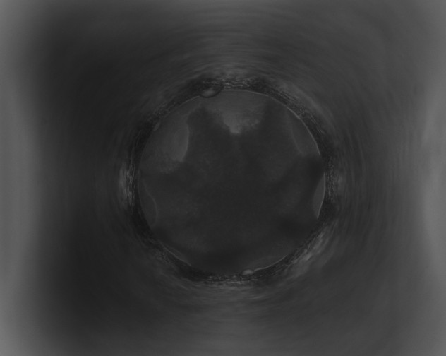 X0000100891010200806241227