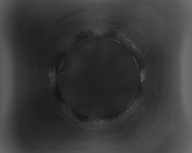 X0000100891011200806241227
