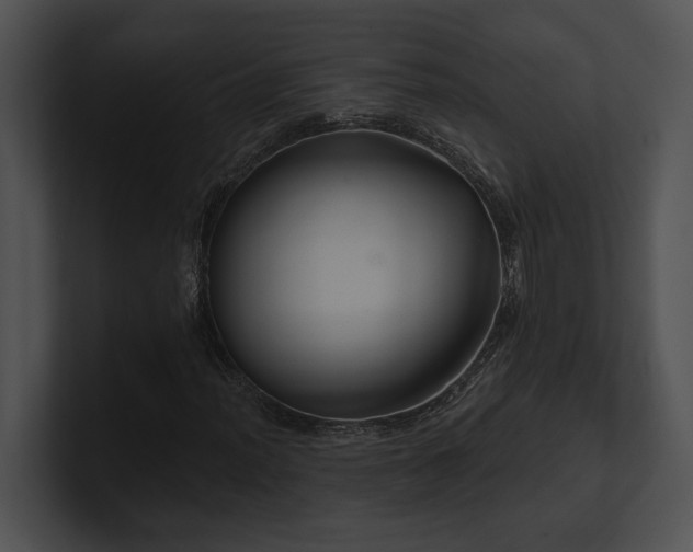 X0000100891012200806241227