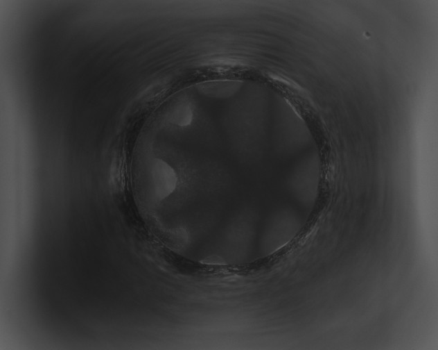 X0000100891014200806241227