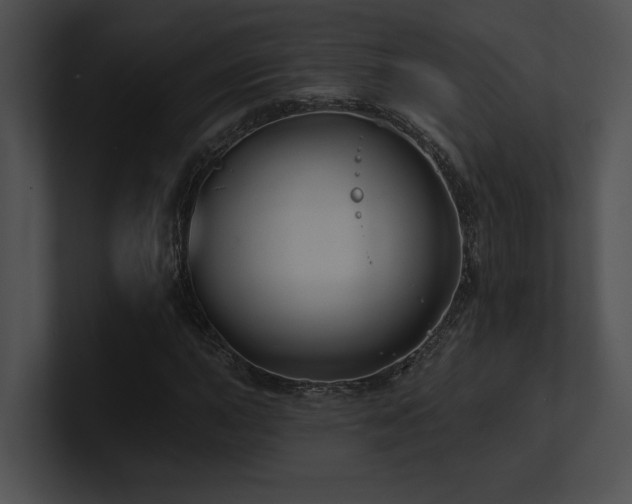 X0000100891015200806241227