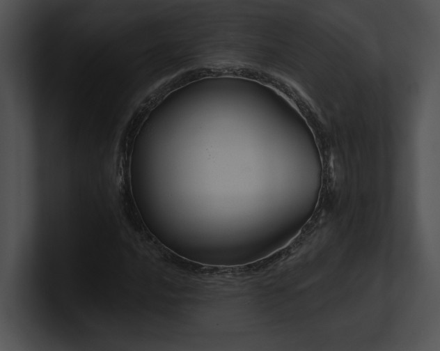 X0000100891016200806241227