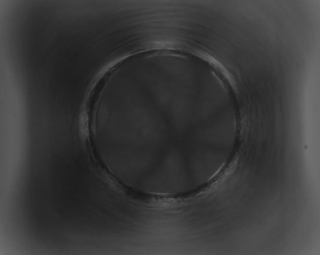 X0000100891019200806241227