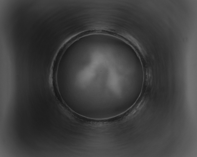 X0000100891020200806241227
