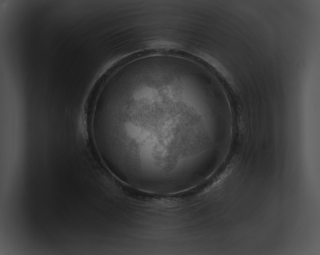 X0000100891022200806241227