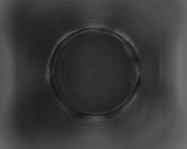 X0000100891024200806241227