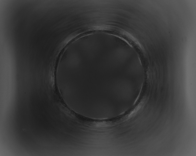 X0000100891025200806241227
