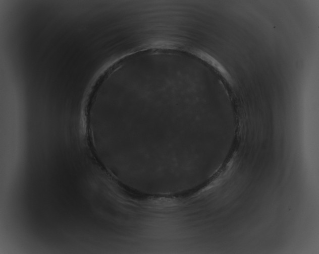 X0000100891027200806241227