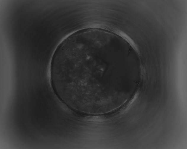 X0000100891028200806241227