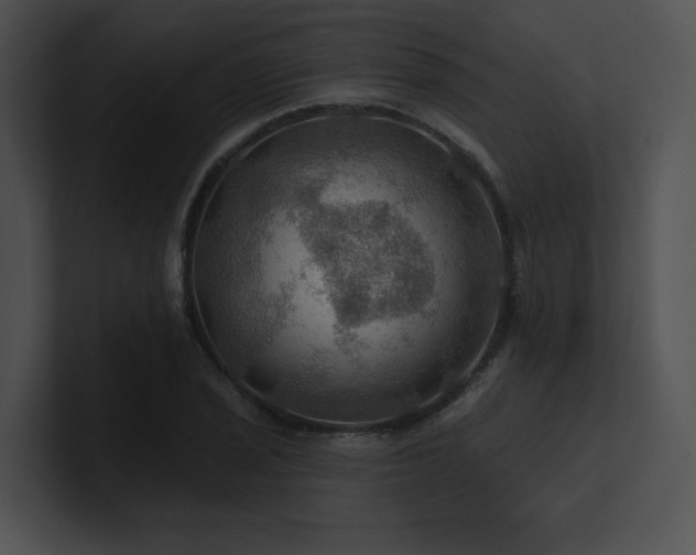 X0000100891029200806241227
