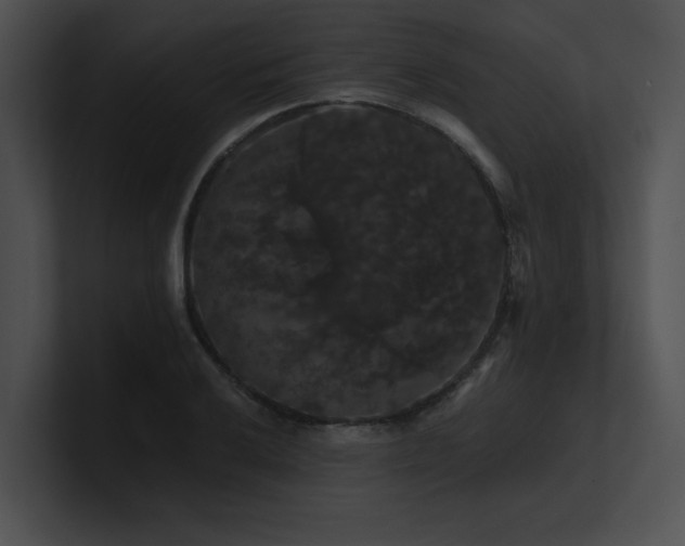 X0000100891032200806241227