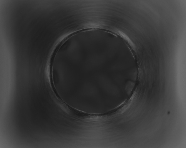 X0000100891035200806241227