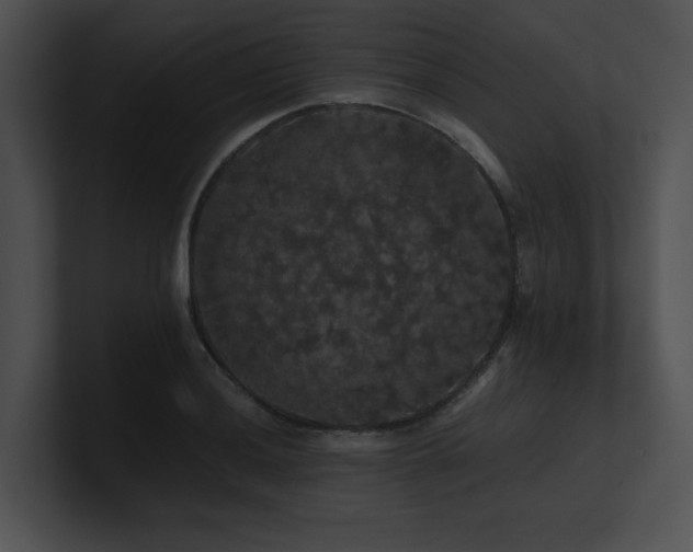 X0000100891036200806241227