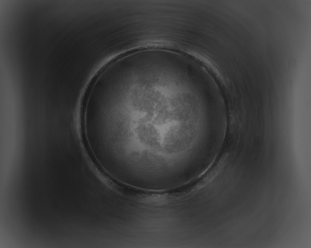 X0000100891038200806241227