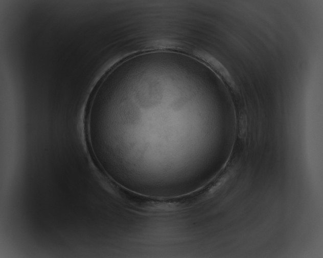 X0000100891039200806241227