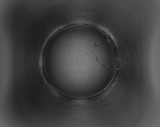 X0000100891040200806241227