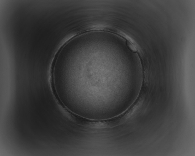 X0000100891042200806241227