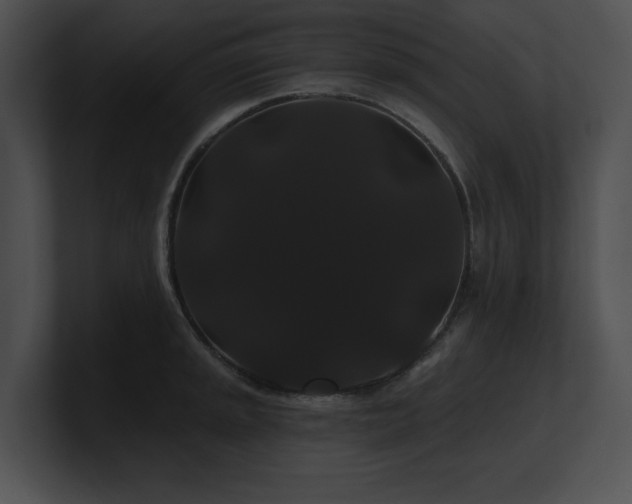X0000100891045200806241227
