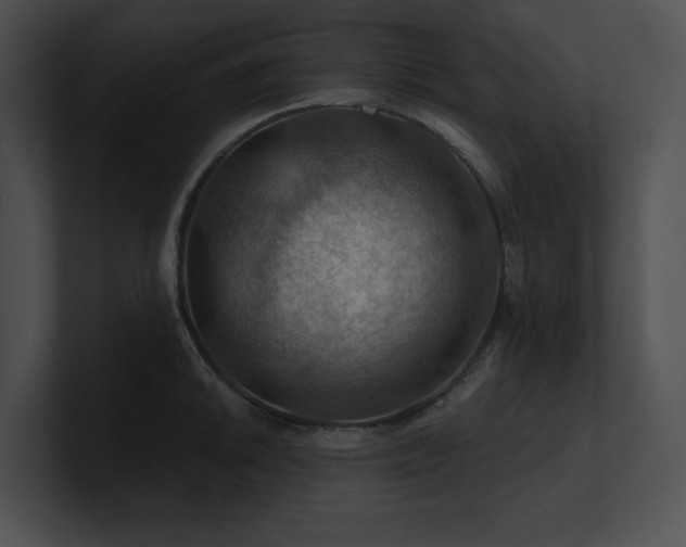 X0000100891046200806241227