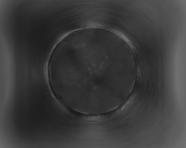 X0000100891047200806241227